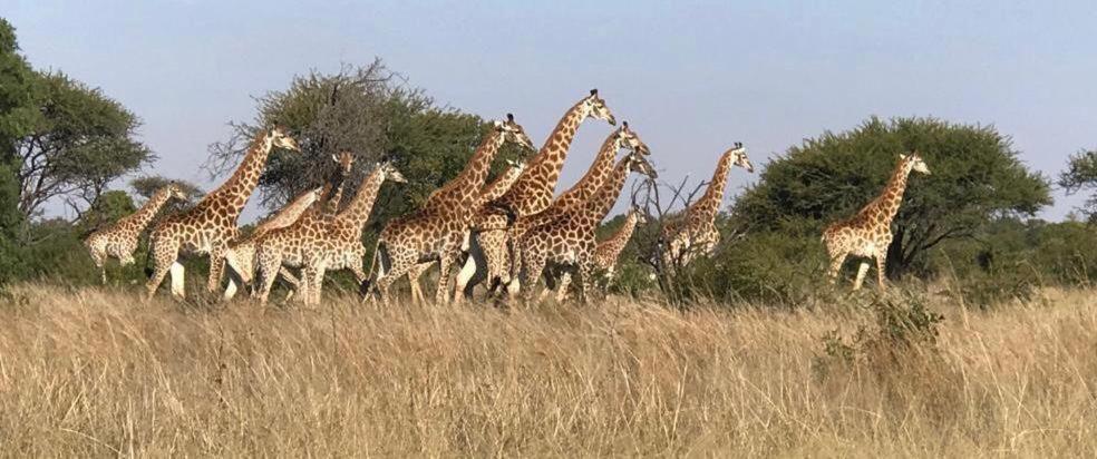 Game Reserve