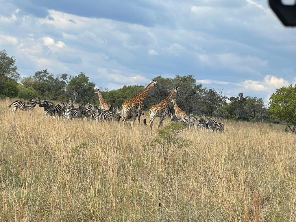 Game Reserve Campsite *